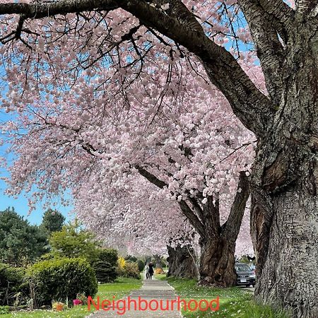 South Vancouver Guesthouse Экстерьер фото