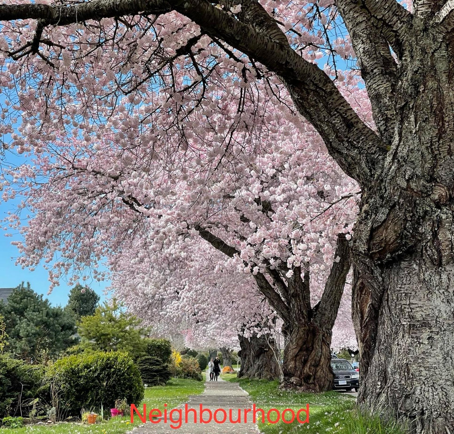 South Vancouver Guesthouse Экстерьер фото